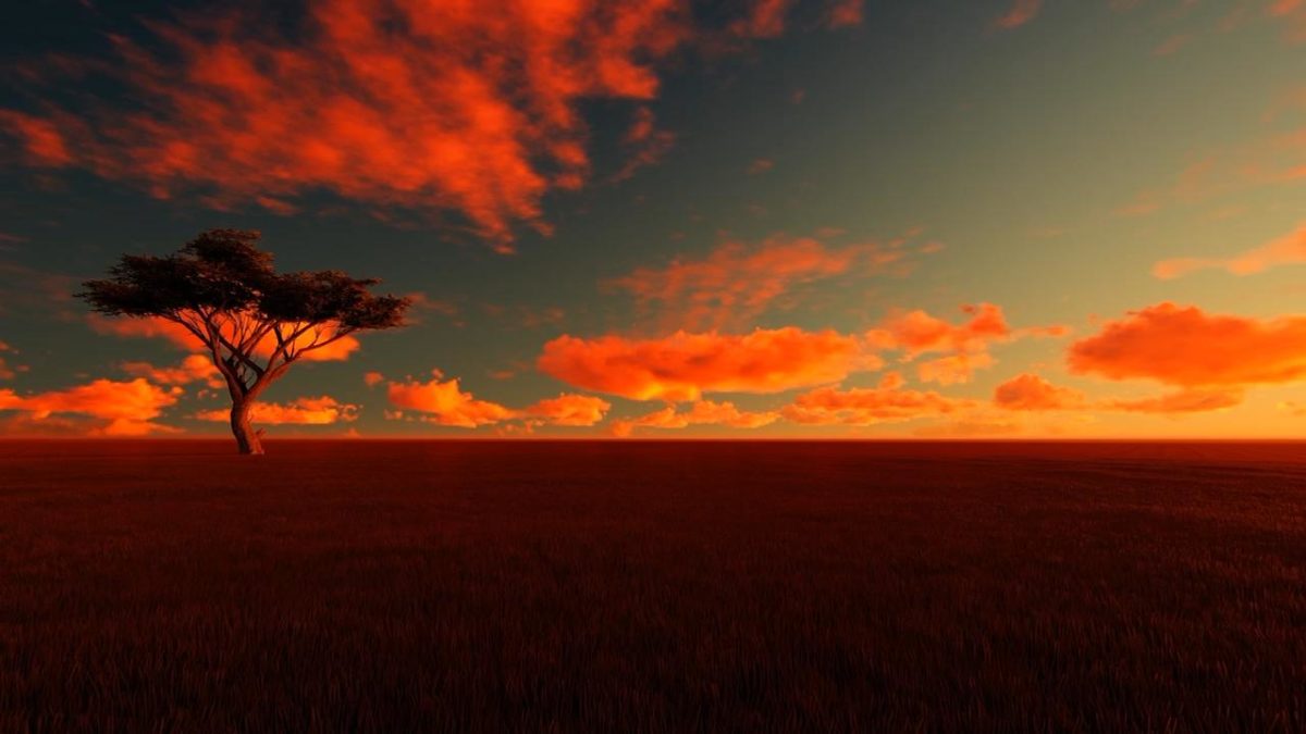 Speaker Bureau Voices into Africa